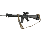 Accessorize your Rifle